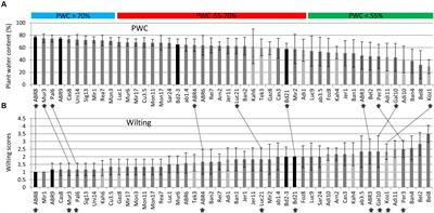 Linking Dynamic Phenotyping with Metabolite Analysis to Study Natural Variation in Drought Responses of Brachypodium distachyon